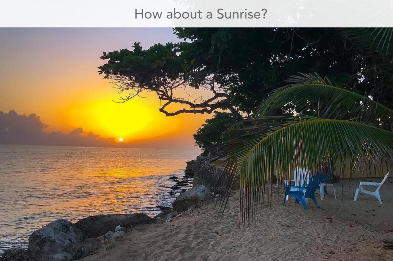 Calypso Villa Jamaica Montego Bay Ngoại thất bức ảnh